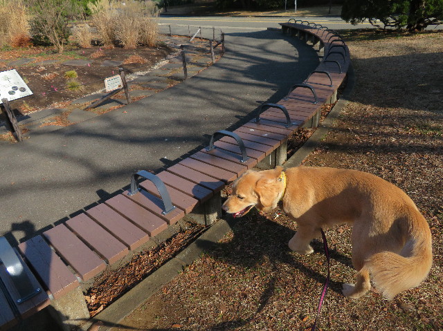 ファイル 6939-1.jpg