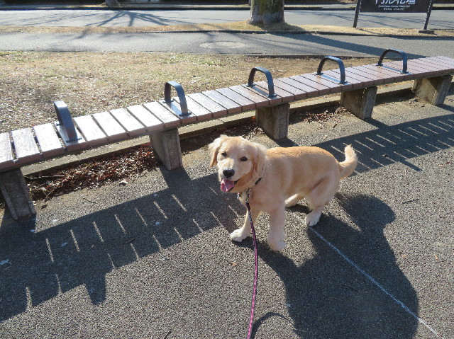 ファイル 6939-2.jpg