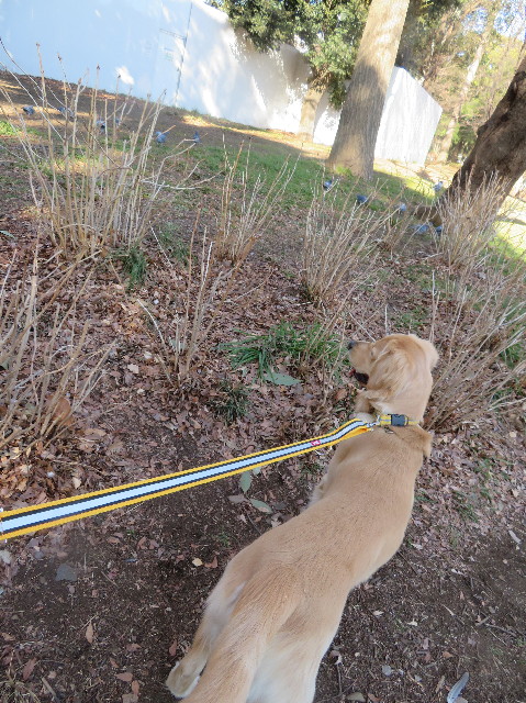 ファイル 6940-2.jpg