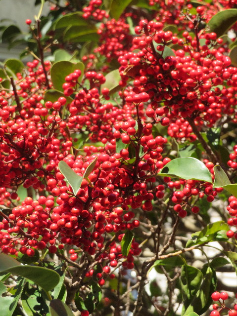 ファイル 6940-5.jpg