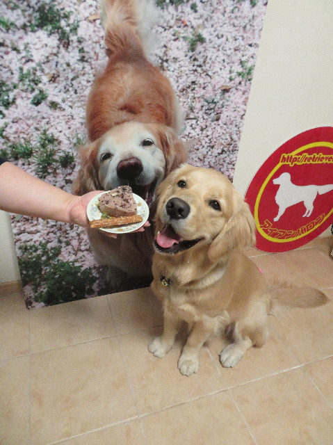 ファイル 6941-1.jpg