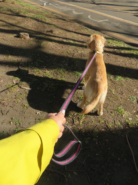 ファイル 6943-1.jpg