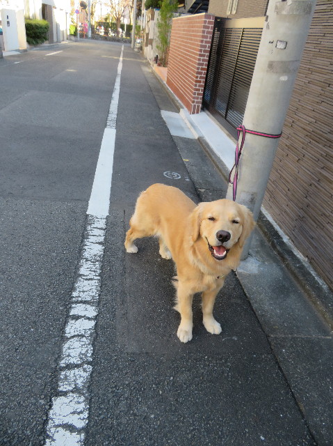 ファイル 6943-2.jpg