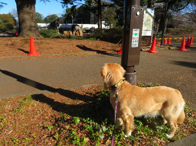 ファイル 6943-3.jpg