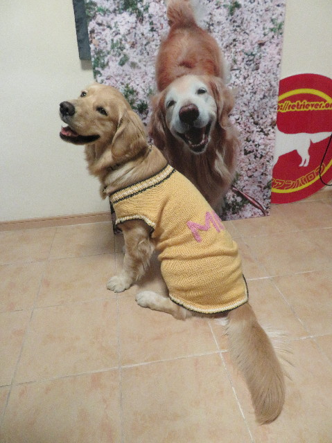 ファイル 6943-5.jpg