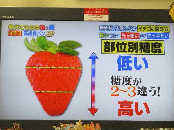 ファイル 6944-4.jpg