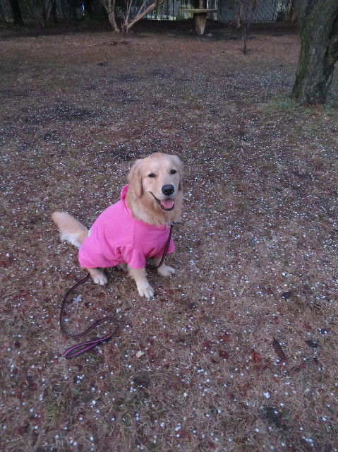 ファイル 6945-5.jpg