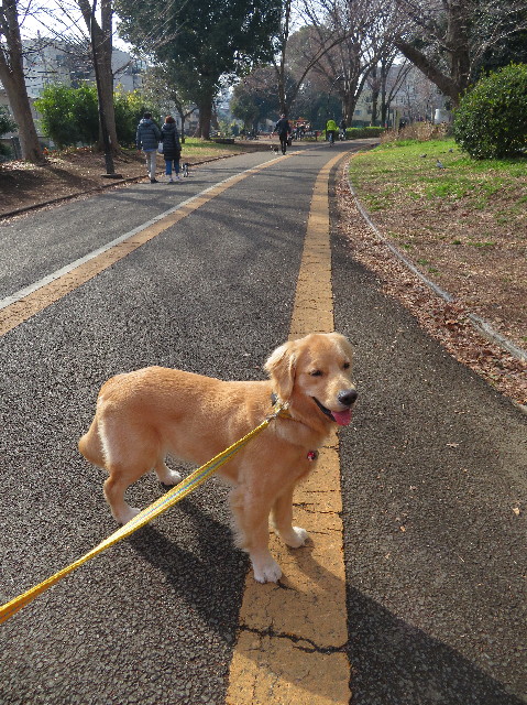 ファイル 6946-3.jpg