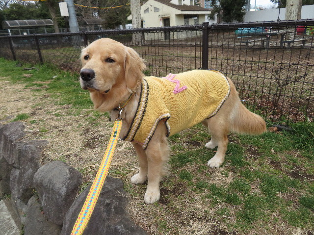 ファイル 6947-1.jpg