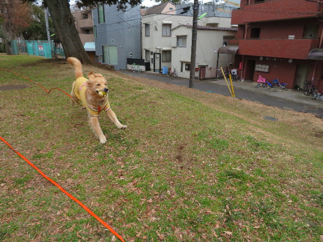 ファイル 6947-2.jpg