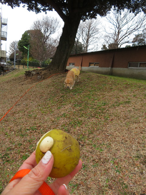 ファイル 6947-3.jpg