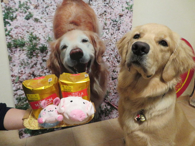 ファイル 6947-5.jpg