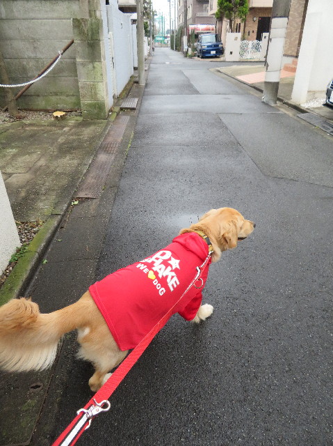 ファイル 6948-1.jpg