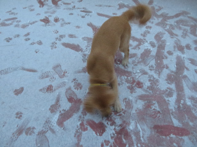 ファイル 6948-3.jpg