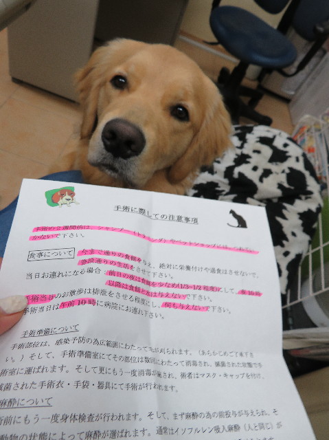 ファイル 6948-5.jpg