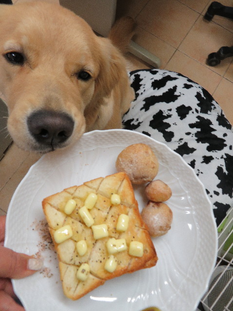 ファイル 6949-4.jpg