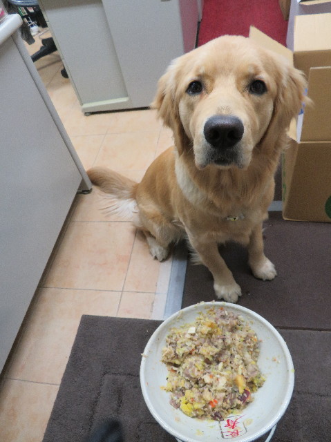 ファイル 6950-1.jpg