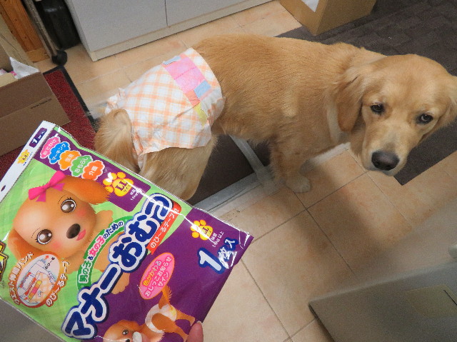 ファイル 6951-2.jpg