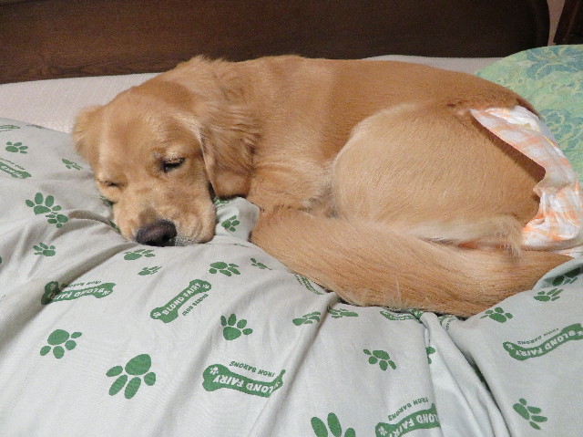 ファイル 6951-4.jpg