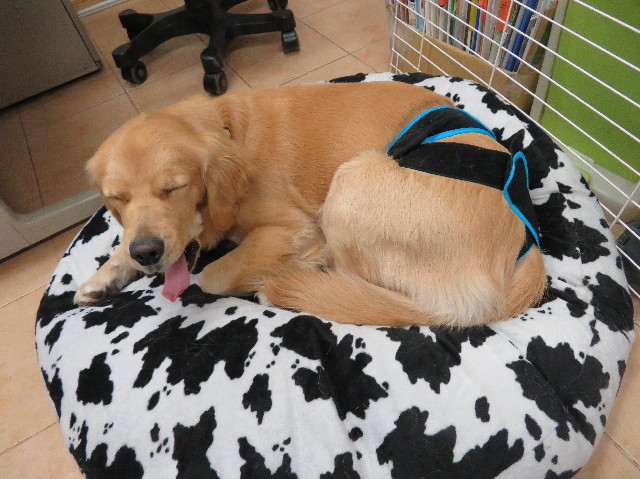 ファイル 6951-5.jpg