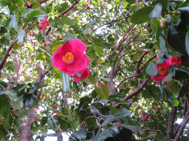 ファイル 6952-2.jpg