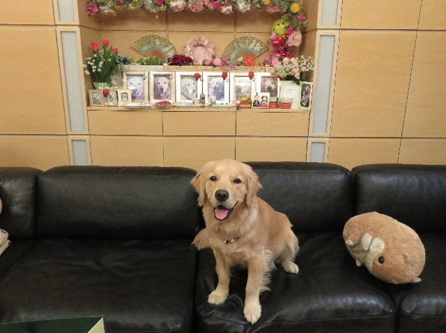 ファイル 6953-3.jpg