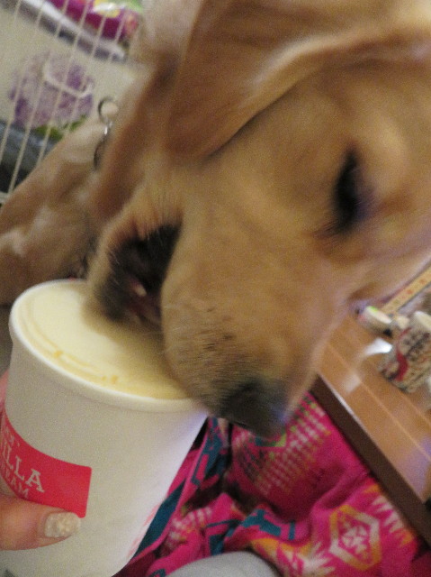 ファイル 6953-5.jpg