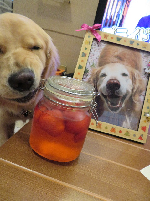 ファイル 6955-4.jpg