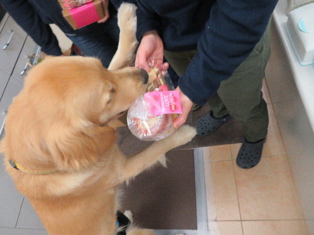 ファイル 6956-2.jpg