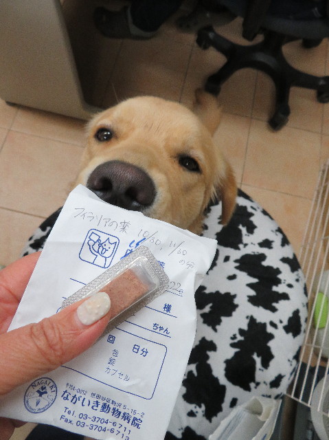 ファイル 6958-1.jpg