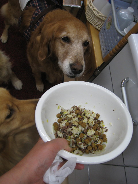 ファイル 696-3.jpg