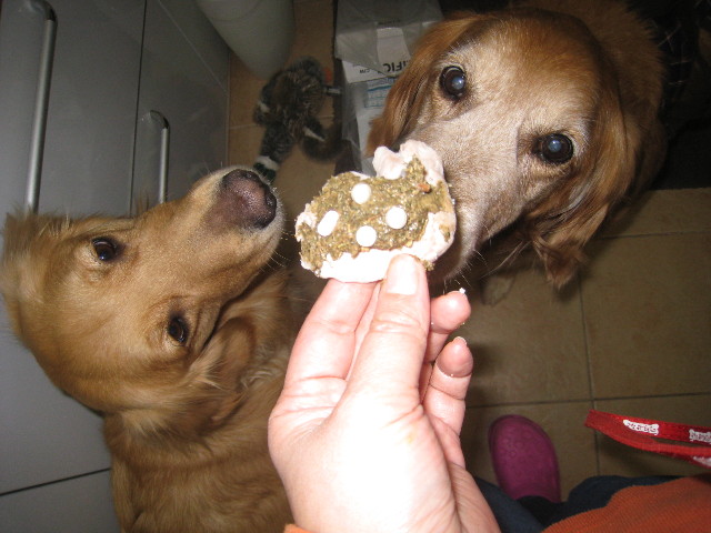 ファイル 696-5.jpg