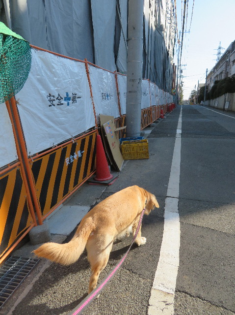 ファイル 6960-2.jpg