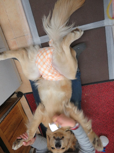 ファイル 6961-1.jpg