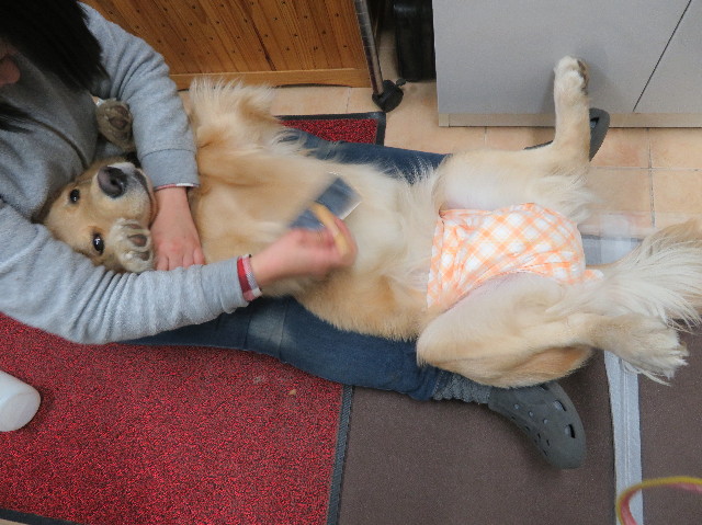 ファイル 6961-2.jpg