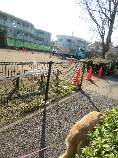 ファイル 6962-1.jpg