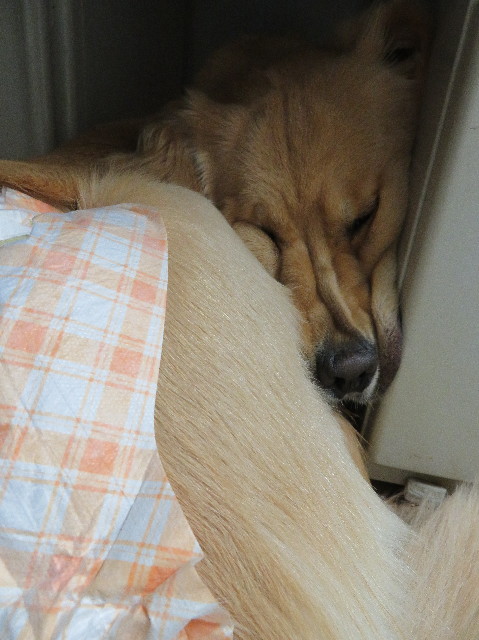 ファイル 6962-4.jpg