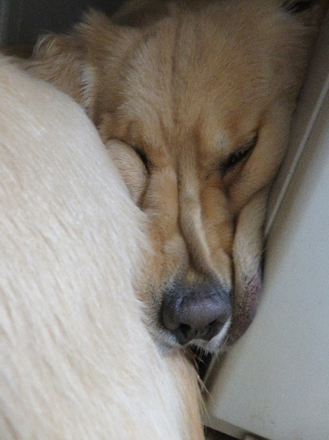 ファイル 6962-5.jpg