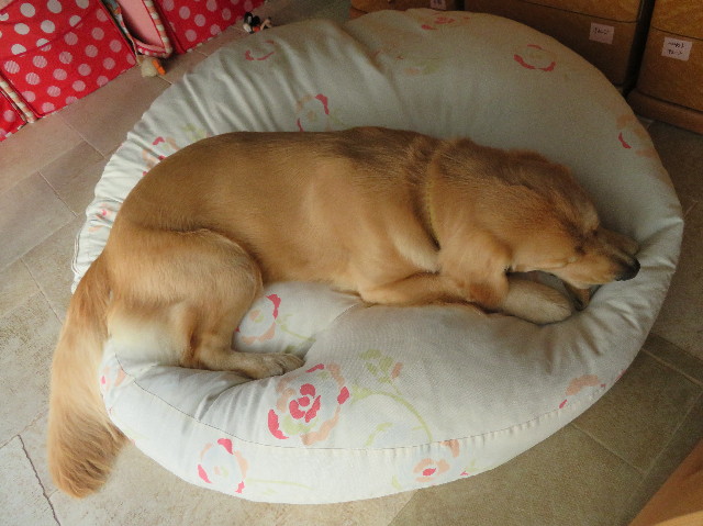 ファイル 6964-2.jpg