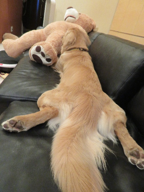 ファイル 6964-3.jpg