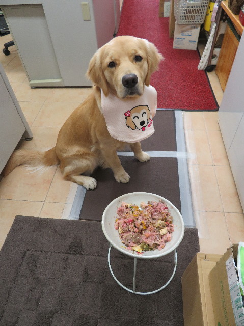 ファイル 6966-1.jpg