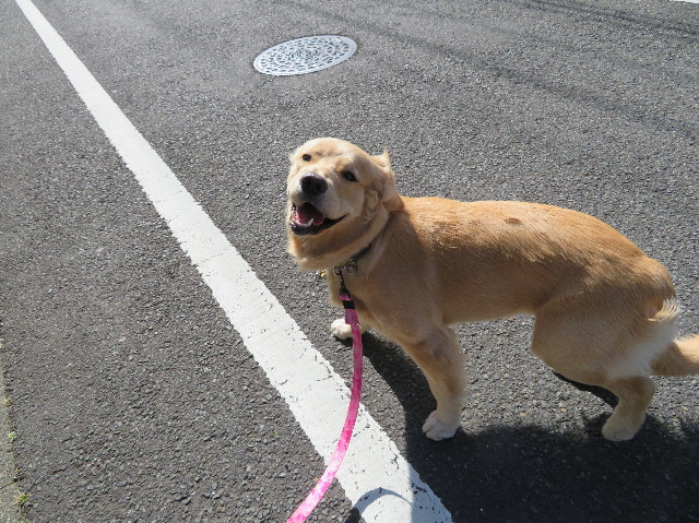 ファイル 6966-2.jpg