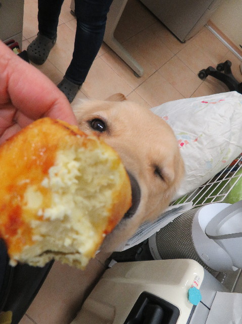 ファイル 6966-3.jpg