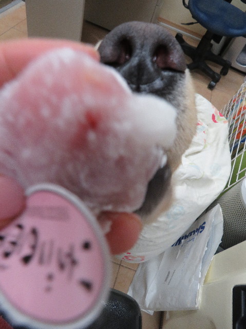 ファイル 6966-4.jpg