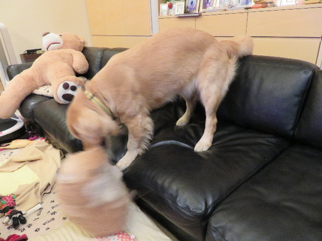 ファイル 6967-2.jpg