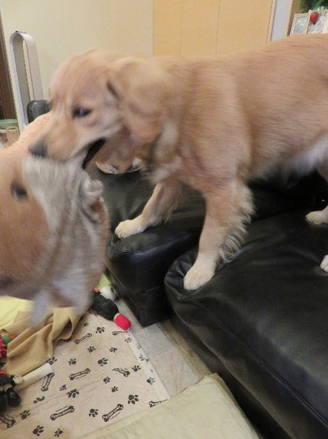 ファイル 6967-3.jpg