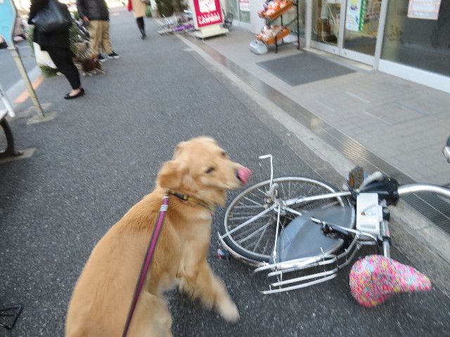 ファイル 6968-1.jpg