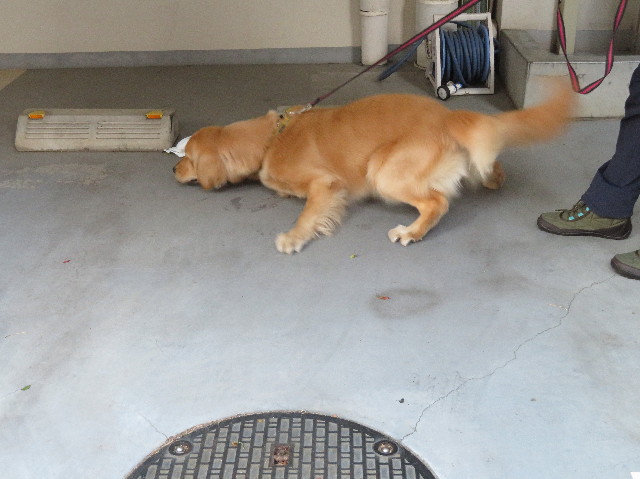 ファイル 6968-4.jpg