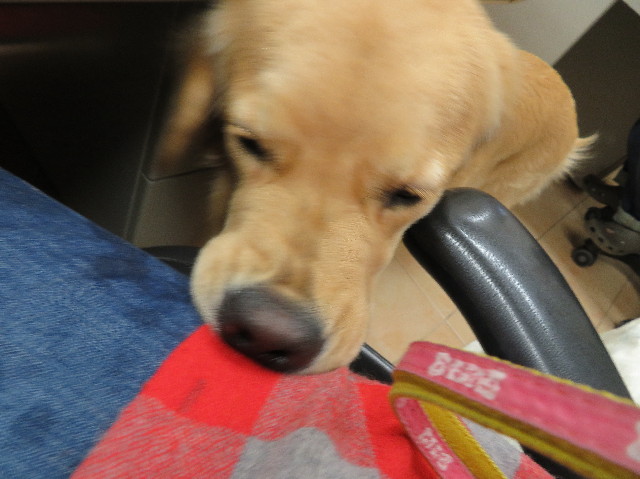 ファイル 6969-1.jpg