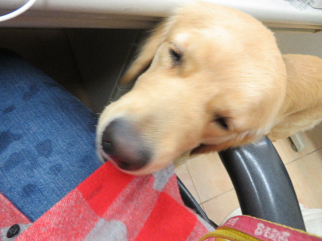 ファイル 6969-2.jpg